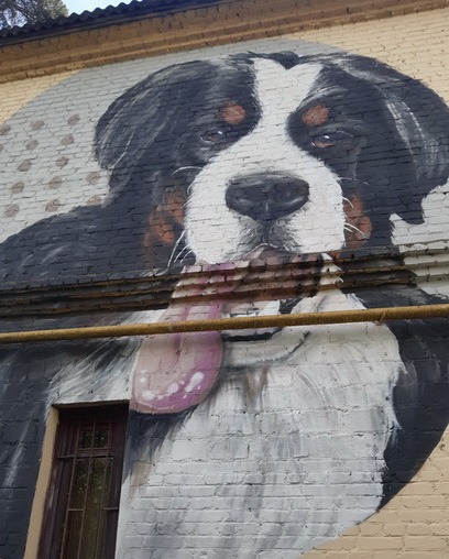 Мурал на стіні будинку із зображенням собаки